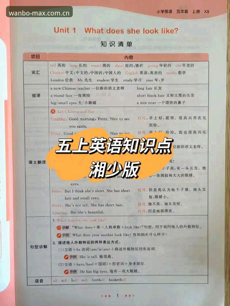 万博官网正版 掌握万博手机版核心功能,老用户分享实用必备知识