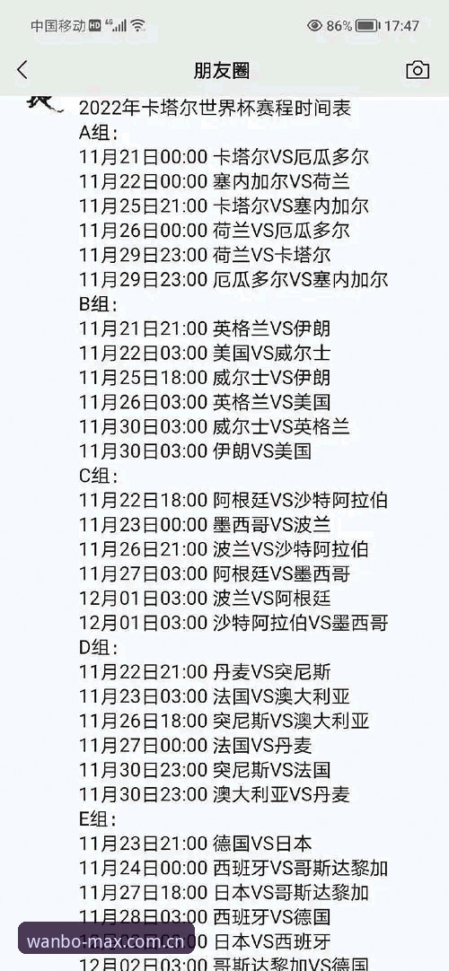 万博平台功能对比 资深球迷实战经验:世界杯签证风波下的观赛攻略与万博手机版使用心得